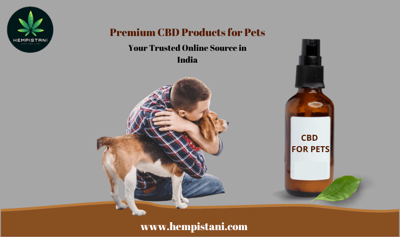 Premium CBD Products for Pets - Your Trusted Online Source in India — photo 1