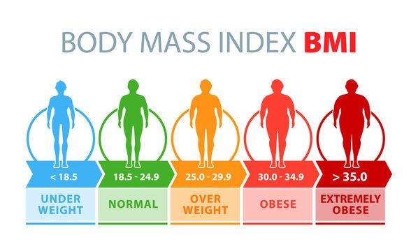 Accurate BMI Calculator: Track Your Health Effortlessly — photo 1