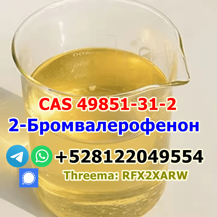 telegram@jskchem 2-Bromovalerophenone CAS 49851-31-2 with safe delivery factory price — photo 1