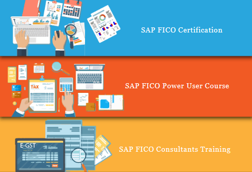 SAP FICO Institute in Uttam Nagar, Delhi, Noida, Ghaziabad, SLA Institute, Accounting, Taxation, Finance, Tally & GST, 100% Job — photo 1