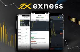Exploring Exness Global A Comprehensive Overview