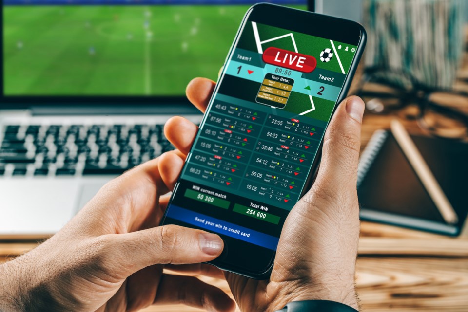 Winning Tactics Betting strategies for successful horse racing 2025
