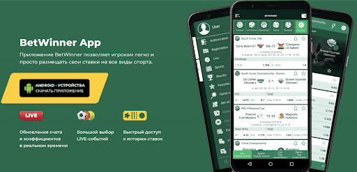 Betwinner Your Ultimate Choice for Sports Betting