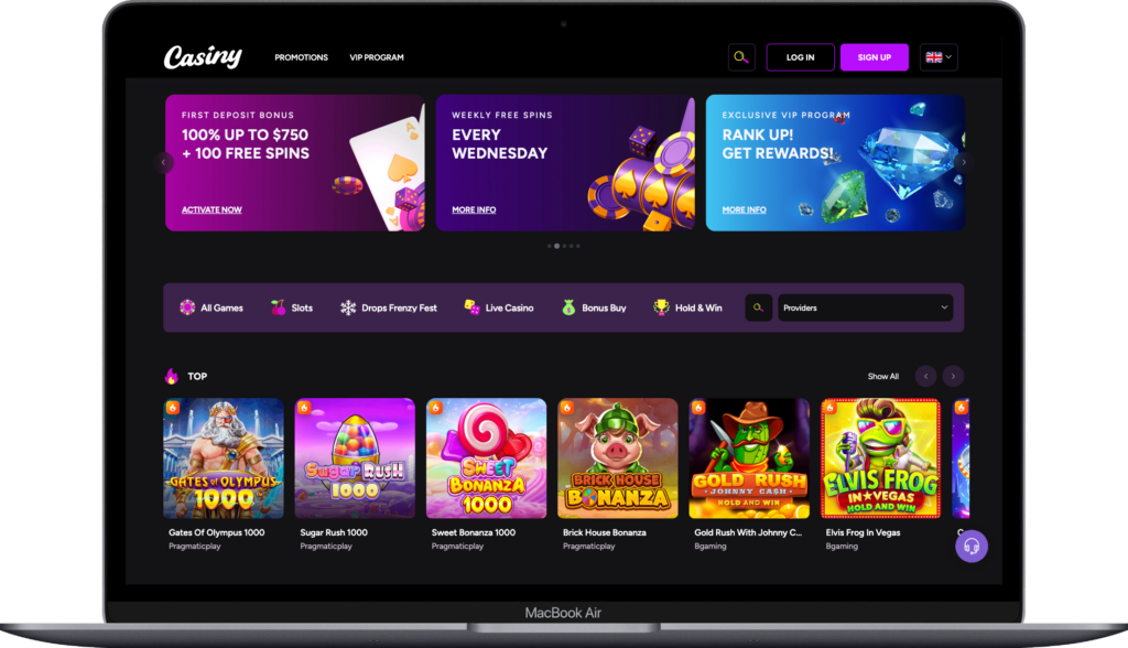 Exploring the Future of Online Entertainment with Casiny