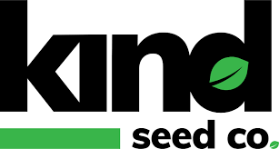 The Ultimate Guide to Godfather OG Seeds 2
