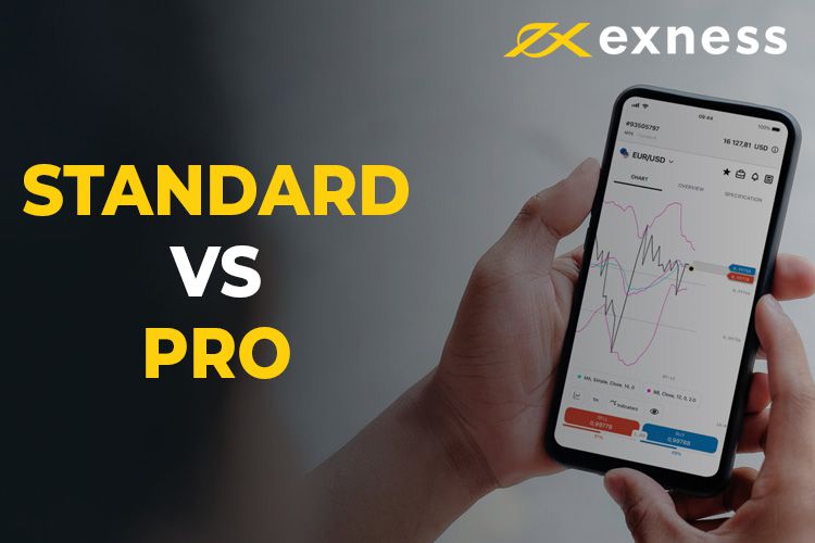 Understanding Exness Forex Spreads and Their Impact on Trading