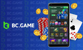Experience the Thrill of Gaming at the BC Game Casino