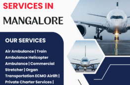 Air Ambulance Services in Mangalore