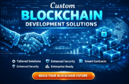 Custom blockchain development solutions