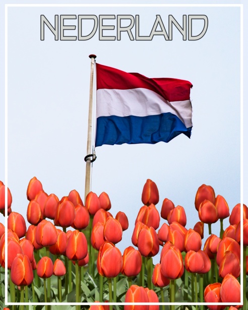 Oude Koeienrassen in Nederland Een Verkenning van Traditie en Diversiteit Oude Koeienrassen in Nederland Een Verkenning van Traditie en Diversiteit