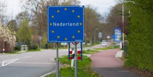 Oude Koeienrassen in Nederland Een Verkenning van Traditionele Rassen