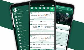 Step-by-Step Guide to BetWinner Account Login Process -842369355